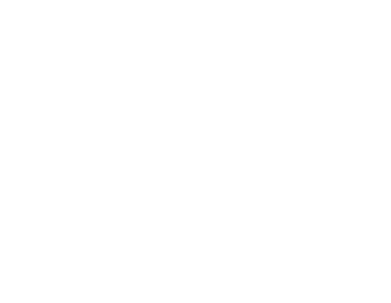 black friday sale logo